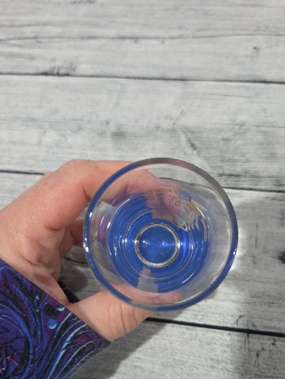 Disney Magic Kingdom Castle Shot Glass/Toothpick Holder